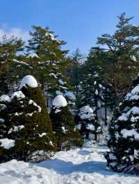 자연의 녹음과 드넓은 평야와 농장의 ☃️ 새하얀 눈구경을 하실 수 있는 평창군 겨울여행지추천