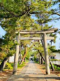 【玉敷神社/東京都】緑豊かな社叢に囲まれる