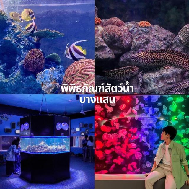 รวมที่เที่ยว good vibe บางแสน บางพระ ชลบุรีจ้าา