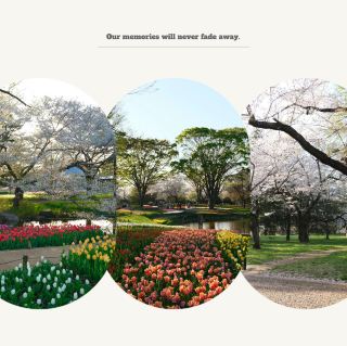 山形縣天童市天童公園：春天賞花勝地，休憩野餐