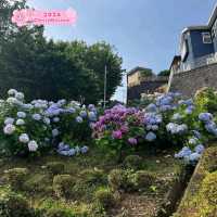 The Kamakura Park