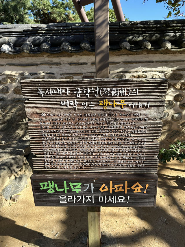 【韓国】韓屋ステイもできる観光地！？