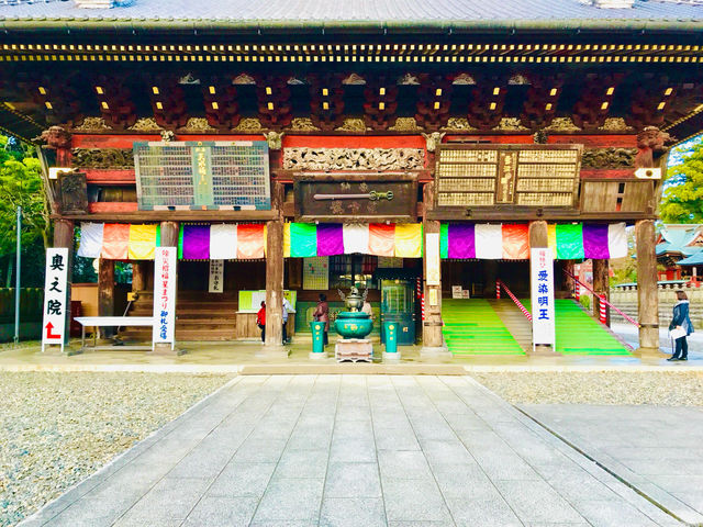 Immerse yourself in the essence of historic Japan 🇯🇵 