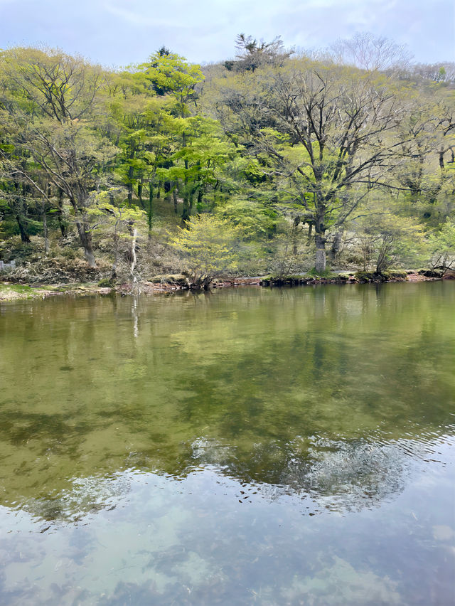 【弁天宮/群馬県】赤城大沼のほとりにある神社