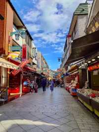 Kawasaki-Daishi Nakamise Shopping Street