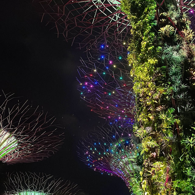 Gardens by the Bay Supertree Grove