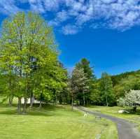 Kanayamako Forest Park: Nature's Paradise
