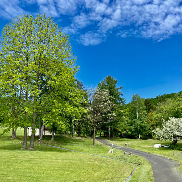 Kanayamako Forest Park: Nature's Paradise