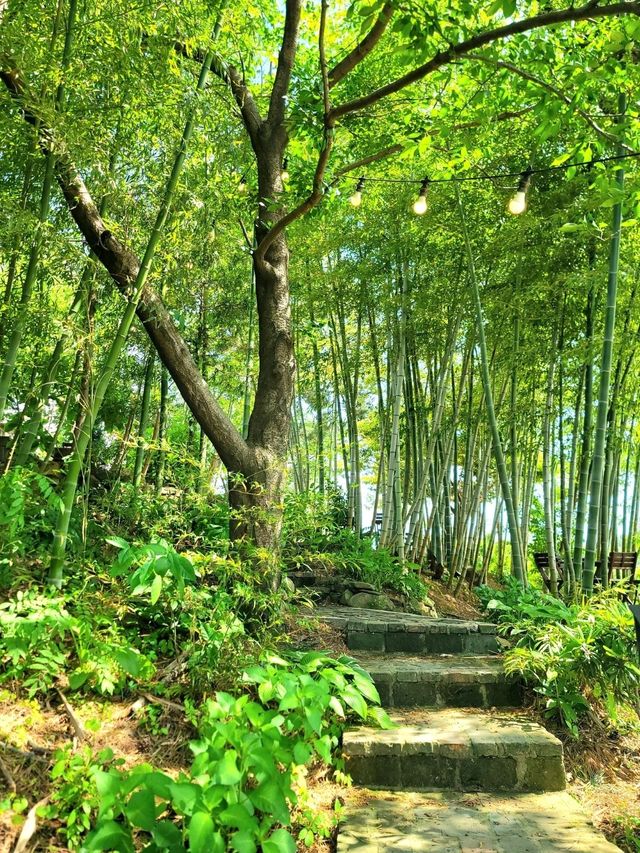 여수 치앙마이를 만나고 싶다면 바로 여기🌿