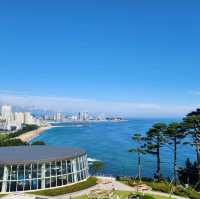 속초 리조트 추천 롯데리조트