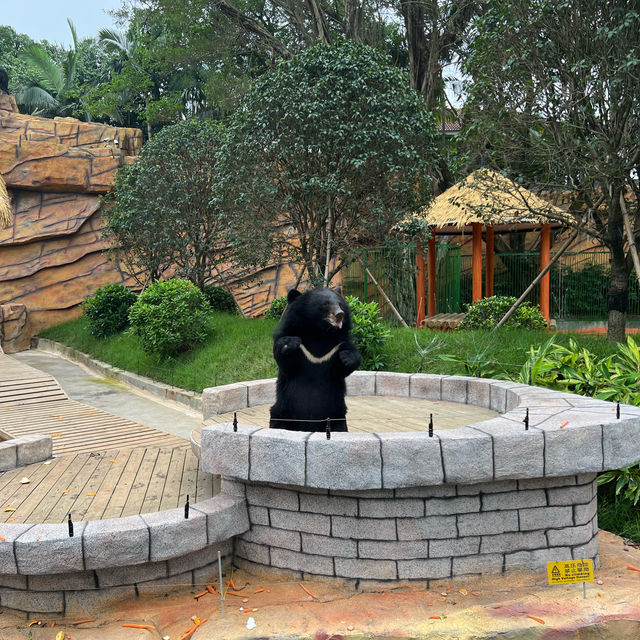 【中山紫馬嶺動物園】乾淨整潔，零距離接觸大笨象🐘！