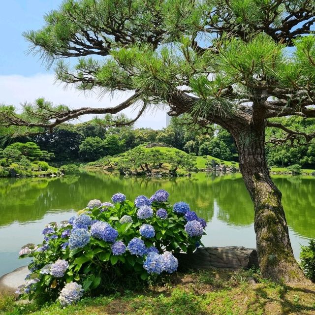 입장권이 하나도 안 아까운 도쿄의 조용한 정원
