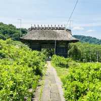 山形庄内・即身仏に会う＋出羽三山へ