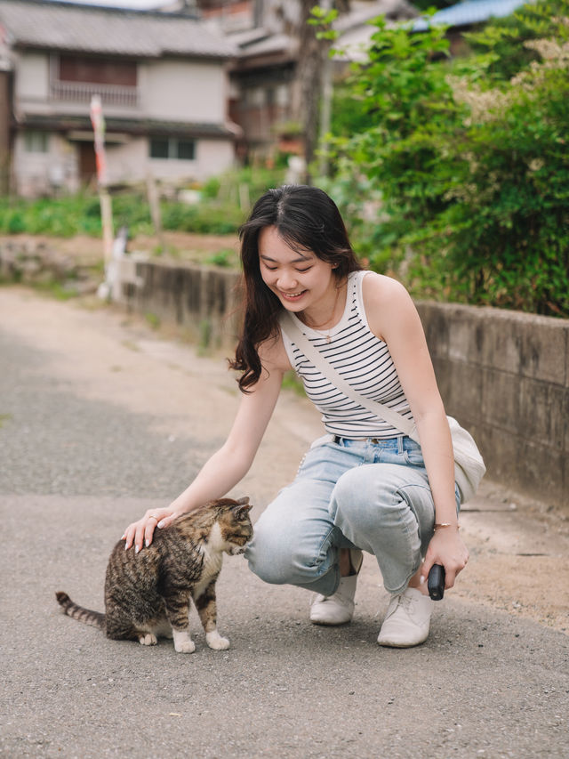 🇯🇵 福岡 絕對貓奴天堂！世界六大貓島之一 相島🐈🏝️
