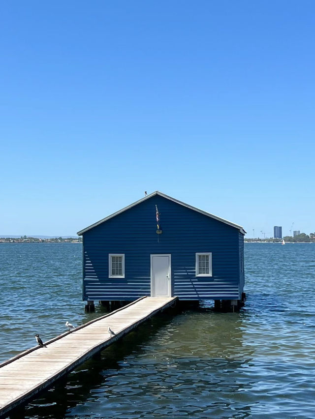 Trip to Perth 🇦🇺 Trip to Perth 🇦🇺