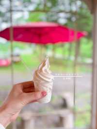 搾りたて牛乳で作ったチーズソフト🍦🧀