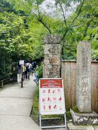 【神奈川県:北鎌倉】一面に広がる青の絶景！明月院！！