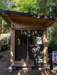 鳥取最強神社⛩再生と復活のご利益がある唯一無二の神社️🩵⛩💛赤猪岩神社復活の道