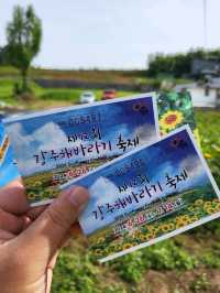 역대급 해바라기축제가 열리는 함안 강주마을