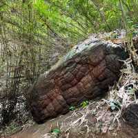 เที่ยวถ้ำนาคา จังหวัดนครพนม สายมูห้ามพลาด 