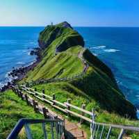 宗谷岬：壯美海景