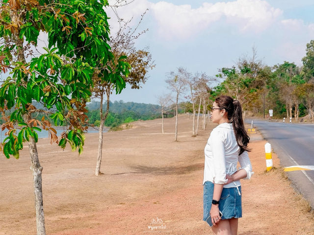 ขับรถเล่นไปสูดอากาศ เขาใหญ่กันมั๊ย