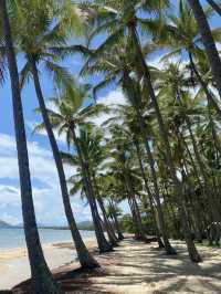 Palm cove