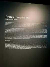 Singapore the Very Old Trees