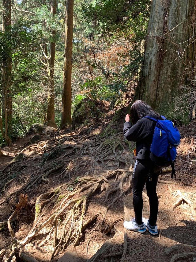 Mount Tsukuba 