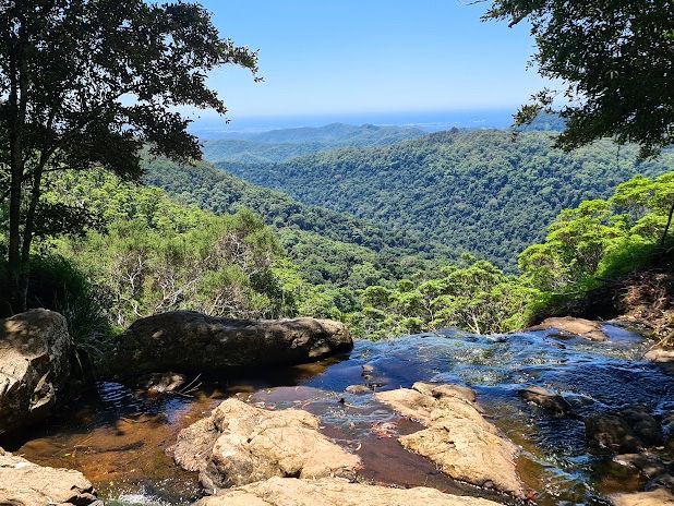 Springbrook National Park