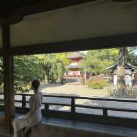 〜埼玉県〜穴場！喜多院川越！美しい日本の寺