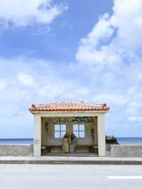  【沖縄 大宜味村】海の見えるバス停️🩵辺土名高校前バス停🌴絶景ポイント