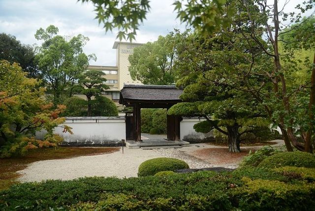 very beautiful and spacious Japanese garden