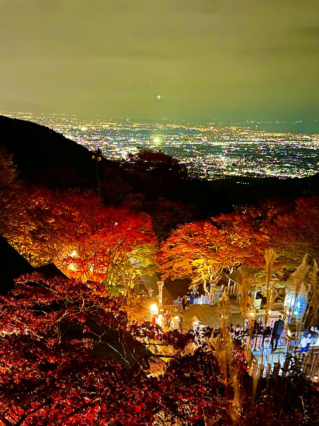 〜神奈川県〜夜景と紅葉両方楽しめるのはここだけ！大山阿夫利神社ライトアップ
