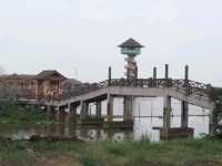 ศูนย์ศึกษาธรรมชาติและสัตว์ป่าทะเลน้อย จ.พัทลุง