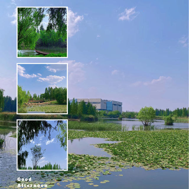 星湖濕地公園：絕佳自然勝地，令人陶醉的樂趣