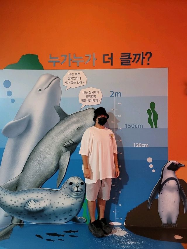 여름에 즐기기 좋은 여수 실내데이트는 여기