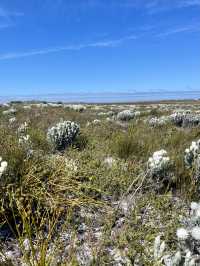 🥾 Hike the Trails of Cape of Good Hope National Park 🌍