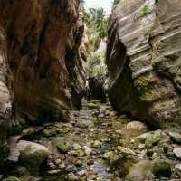 A Treasure of Nature