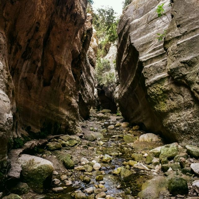 A Treasure of Nature