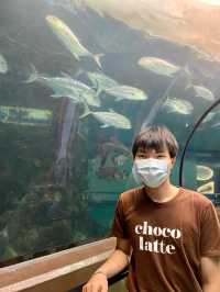 สถานแสดงพันธุ์สัตว์น้ำ ภูเก็ต (Phuket Aquarium )