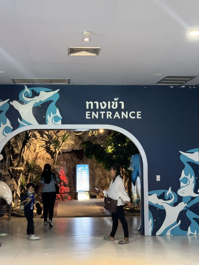 โลกใต้ทะเล Bangsaen aquarium 🐠