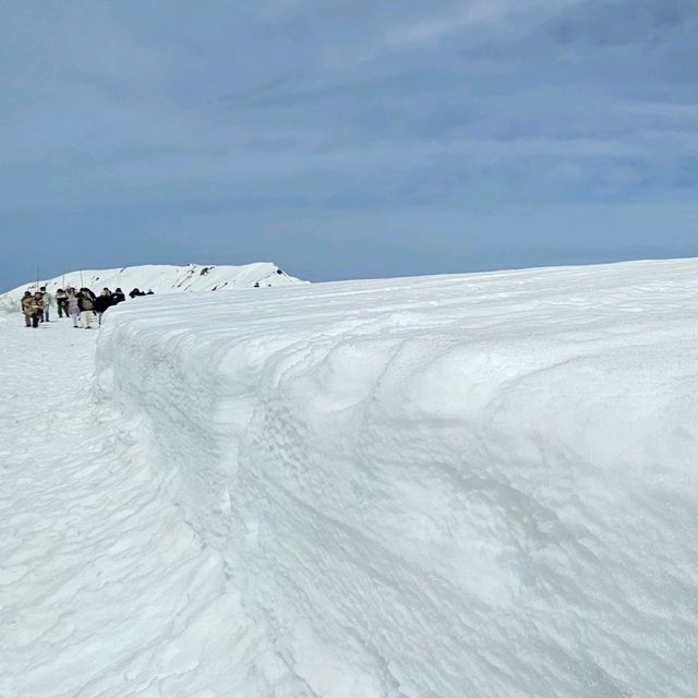 立山室堂雪之大谷，壯觀雪壁與藍天交織的冬日奇景。