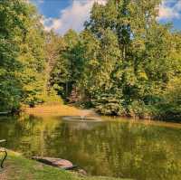 Discover the charm of Asheville, North Carolina, for your next #staycation!