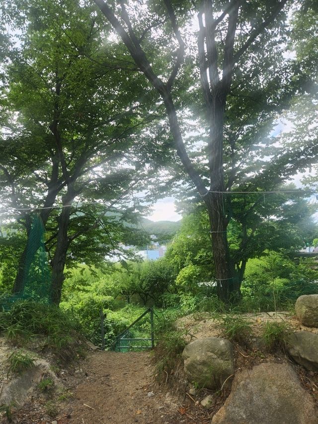 가족 모임 하기 좋은 가을여행지 장안본가👍