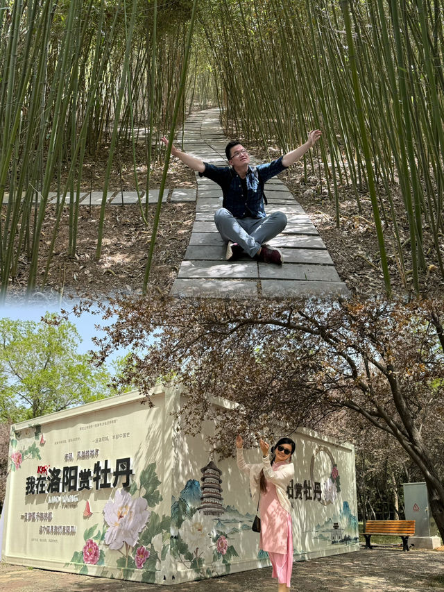 Springtime Bliss: Exploring China's National Flower Garden During the Peony Festival