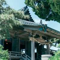 【裏手には海!?】美しすぎる森戸神社✨