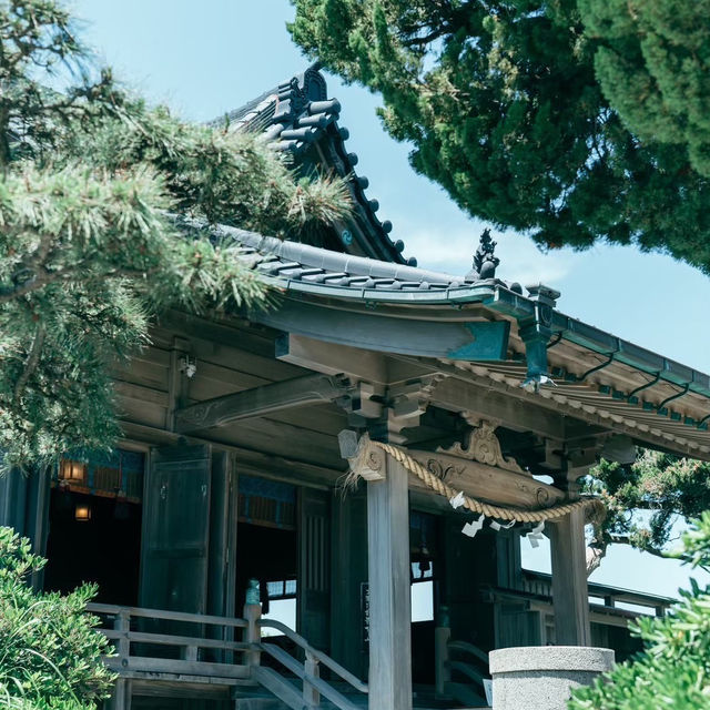 【裏手には海!?】美しすぎる森戸神社✨
