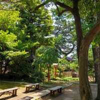 Akamine Camping Ground：綠意滿溢，親近自然的露營樂趣