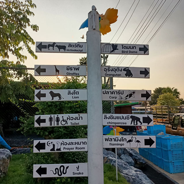 Sriayuthaya Lion Park 🦁
